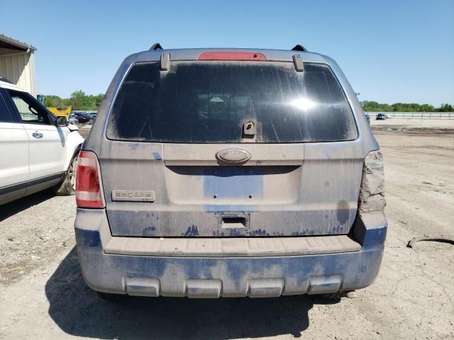 2010 Ford Escape XLT