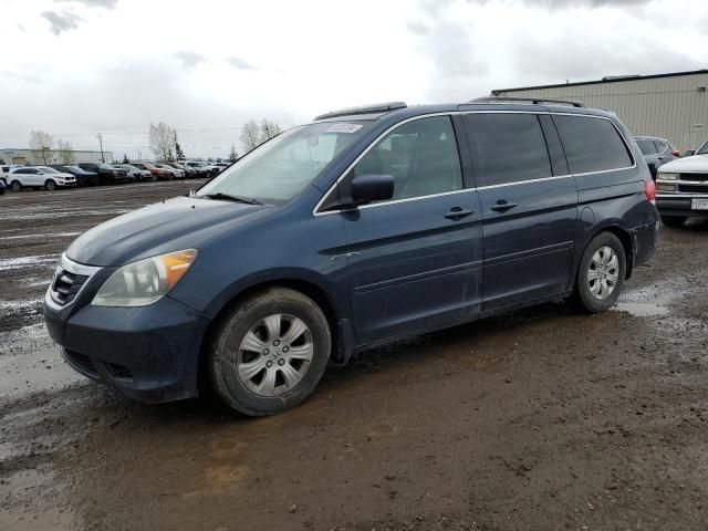 2009 Honda Odyssey EXL