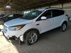 Rental Vehicles for sale at auction: 2019 Ford Escape SEL