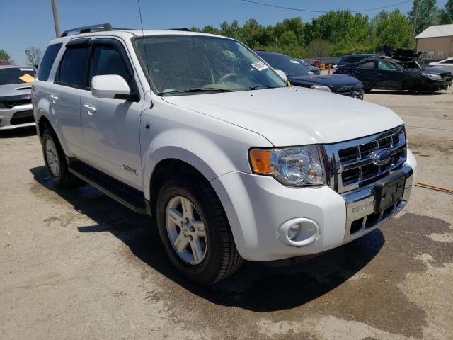 2008 Ford Escape HEV