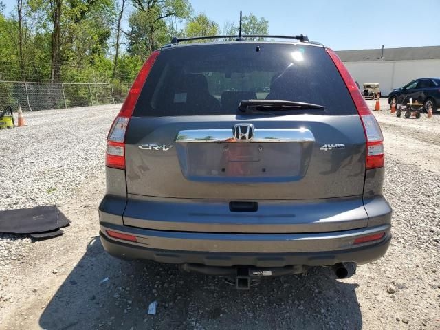 2010 Honda CR-V EXL