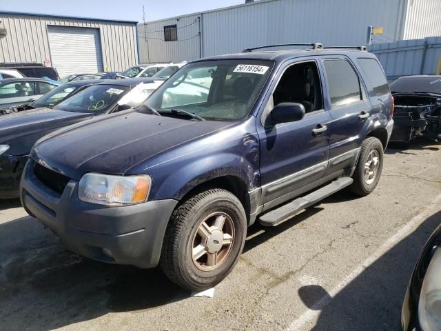 2003 Ford Escape XLT