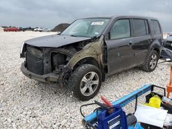 Salvage cars for sale at Temple, TX auction: 2014 Honda Pilot EXL