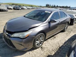 Vehiculos salvage en venta de Copart Martinez, CA: 2016 Toyota Camry LE