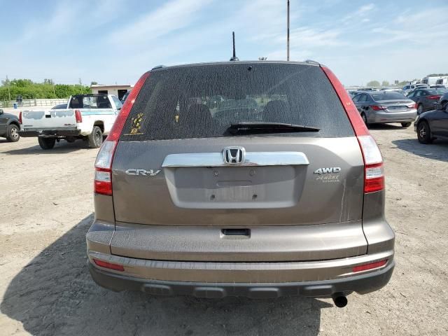 2010 Honda CR-V EXL