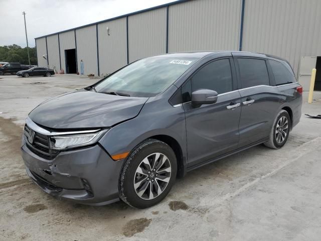 2024 Honda Odyssey EXL