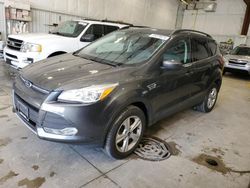 Salvage cars for sale from Copart Milwaukee, WI: 2016 Ford Escape SE