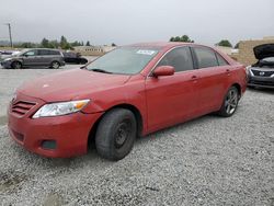Salvage cars for sale from Copart Mentone, CA: 2010 Toyota Camry Base