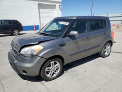 Salvage cars for sale at Farr West, UT auction: 2011 KIA Soul +