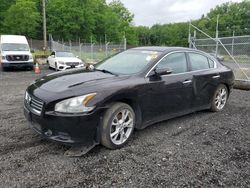 Nissan Maxima salvage cars for sale: 2013 Nissan Maxima S