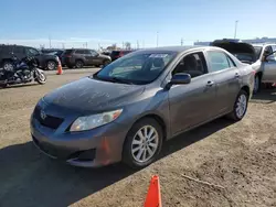 Salvage cars for sale at Brighton, CO auction: 2009 Toyota Corolla Base