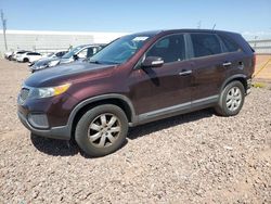 Salvage cars for sale at Phoenix, AZ auction: 2012 KIA Sorento Base
