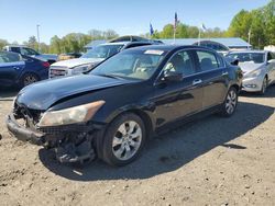 Honda salvage cars for sale: 2010 Honda Accord EXL