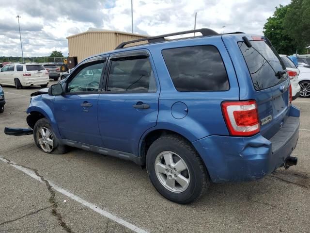 2010 Ford Escape XLT