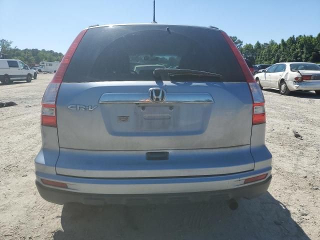 2010 Honda CR-V EXL