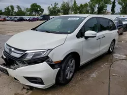 Honda Vehiculos salvage en venta: 2019 Honda Odyssey EXL