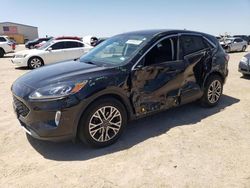 Salvage cars for sale at Amarillo, TX auction: 2022 Ford Escape SEL