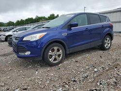 Salvage cars for sale at Lawrenceburg, KY auction: 2015 Ford Escape SE