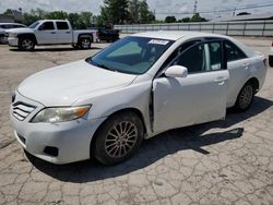 Salvage cars for sale at Lexington, KY auction: 2010 Toyota Camry Base