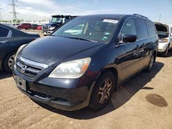 Salvage cars for sale at auction: 2005 Honda Odyssey EXL