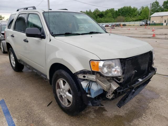 2009 Ford Escape XLT