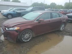 Salvage cars for sale at Columbus, OH auction: 2015 Ford Fusion SE