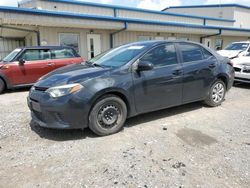 Salvage cars for sale from Copart Earlington, KY: 2015 Toyota Corolla L
