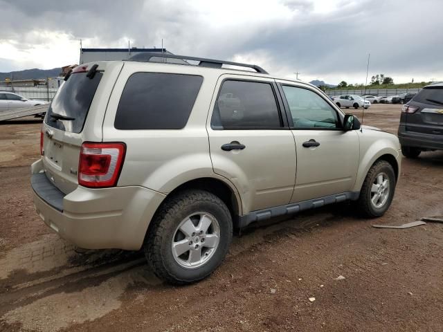 2012 Ford Escape XLT