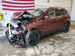 Salvage cars for sale at Candia, NH auction: 2018 Ford Escape SE