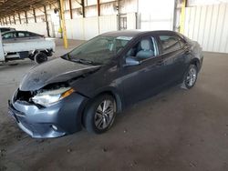 Salvage cars for sale from Copart Phoenix, AZ: 2015 Toyota Corolla ECO