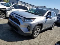 Salvage cars for sale at auction: 2019 Toyota Rav4 XLE