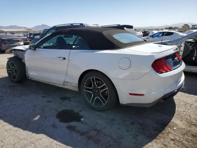 2019 Ford Mustang