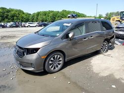 Salvage cars for sale at Windsor, NJ auction: 2021 Honda Odyssey EXL