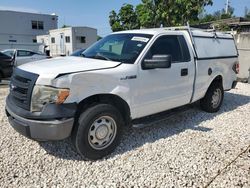 Salvage cars for sale at Opa Locka, FL auction: 2013 Ford F150