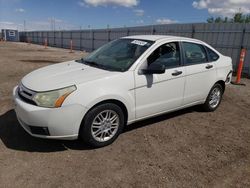 Ford Focus Vehiculos salvage en venta: 2010 Ford Focus SE