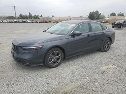 Salvage cars for sale at Mentone, CA auction: 2023 Honda Accord EX