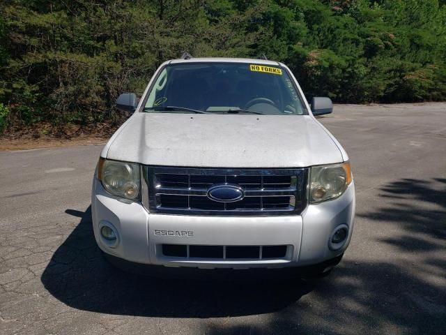 2009 Ford Escape XLT