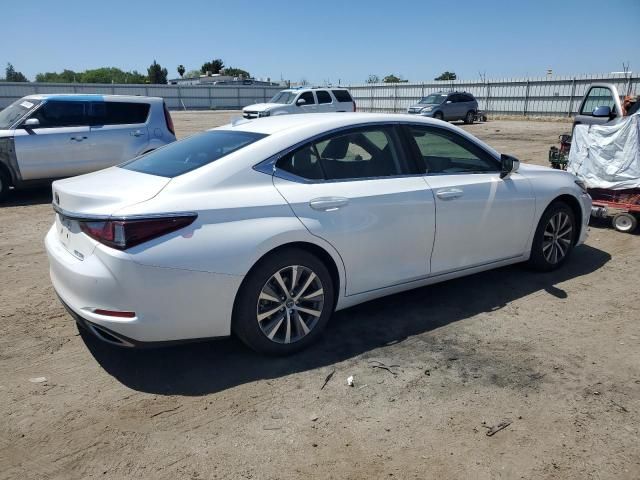 2019 Lexus ES 350