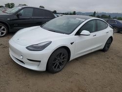 2023 Tesla Model 3 for sale in San Martin, CA