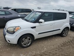 Salvage cars for sale at Haslet, TX auction: 2010 KIA Soul +
