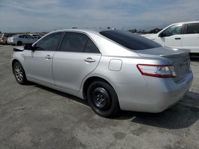 2010 Toyota Camry Hybrid