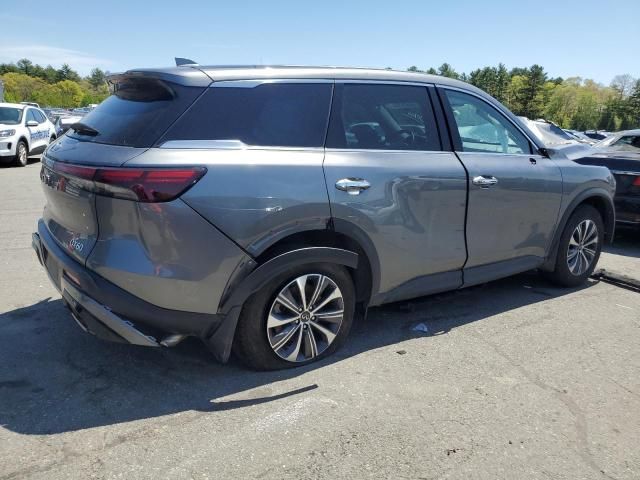 2023 Infiniti QX60 Pure