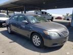 2008 Toyota Camry Hybrid