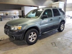 Salvage cars for sale from Copart Sandston, VA: 2007 Ford Escape XLT