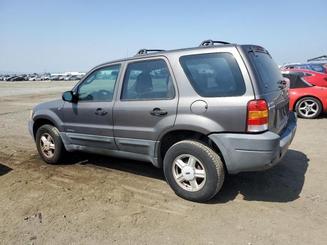 2002 Ford Escape XLS