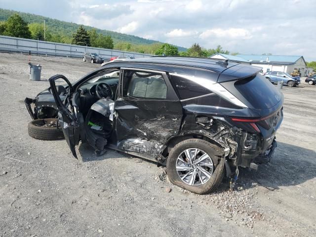 2022 Hyundai Tucson Blue