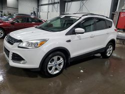 Salvage cars for sale at Ham Lake, MN auction: 2014 Ford Escape SE