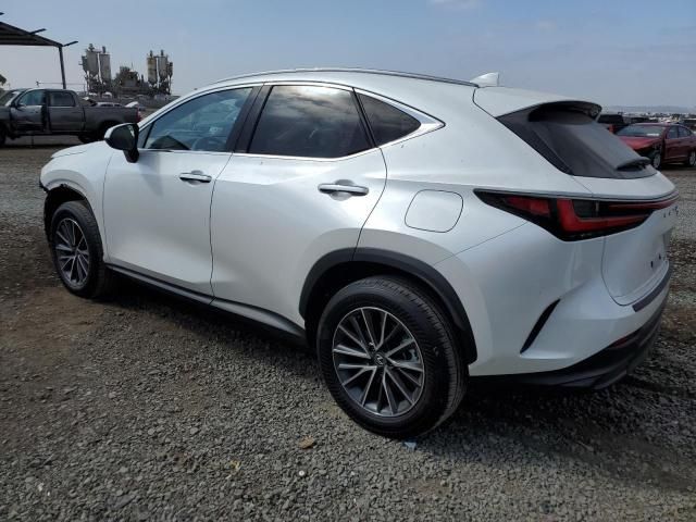 2024 Lexus NX 350 Base