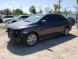 Salvage cars for sale from Copart Riverview, FL: 2010 Toyota Corolla Base