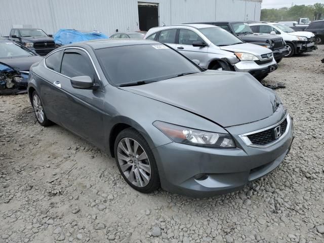 2010 Honda Accord EXL